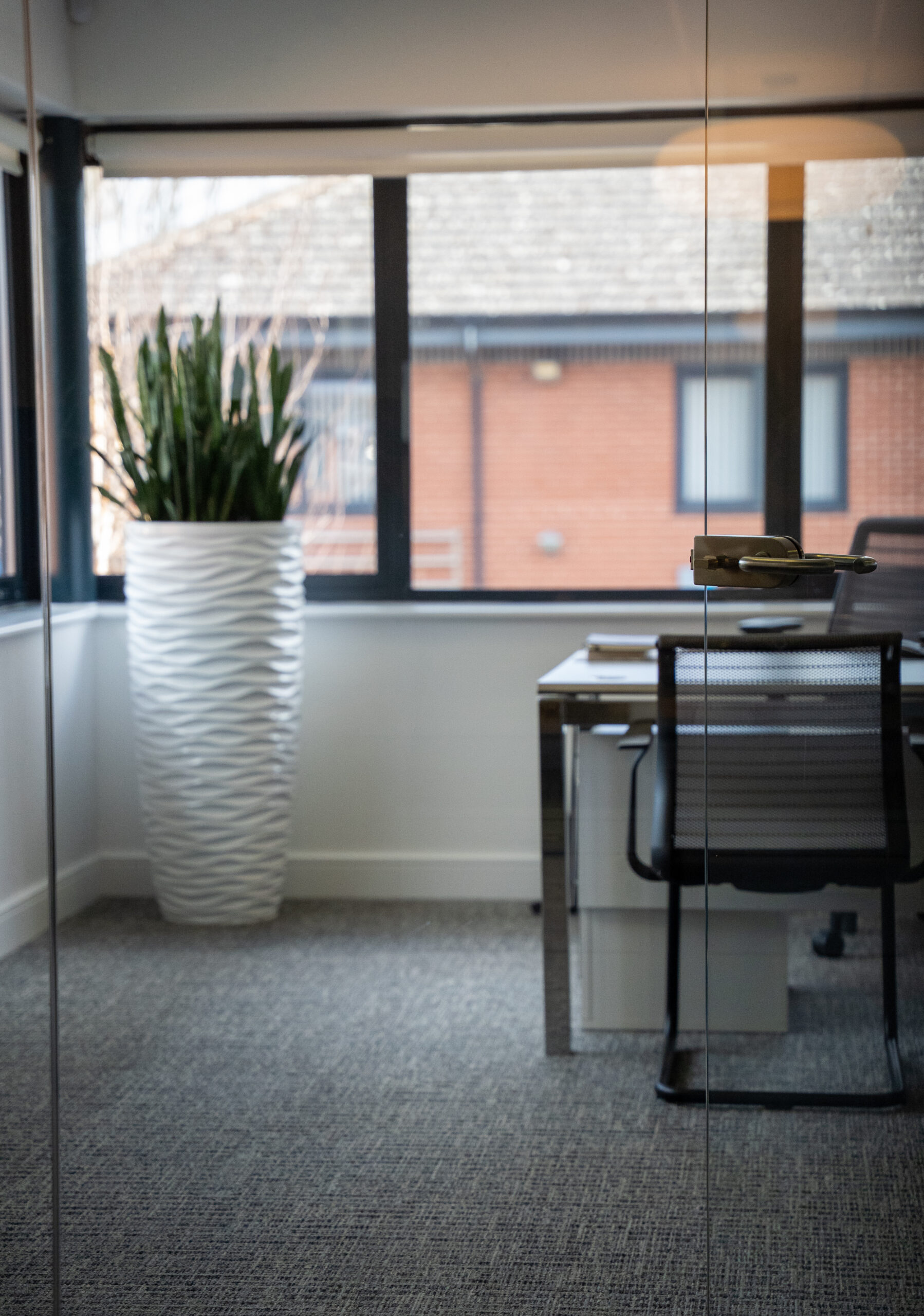Midwinters Office, bright light glass window and doors. Green plant