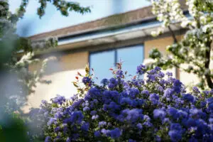 Midwinter Solutions building in bloom 